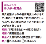 6月KOBE 花しょうぶ あじさい鑑賞会