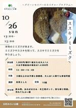 【ススキのミミズク】本物のミミズクが来ます。ミミズクやススキを知って、ススキでミミズクを作りましょう。