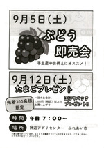 先着３００名様に
たまごプレゼント！