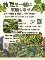 枝豆を一緒に収穫しませんか！