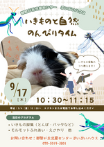 いきものと自然のんびりタイム