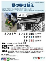 夏の寄せ植え