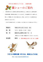 鷹ショーのご案内